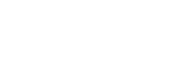 Homey Pro Homey Pro
